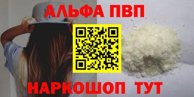 индика Можга