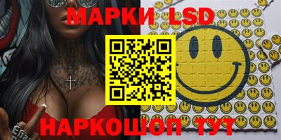 индика Можга