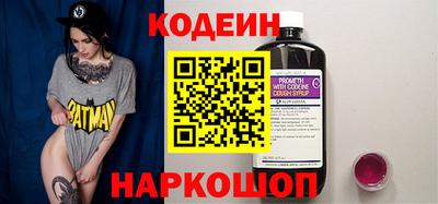 индика Можга