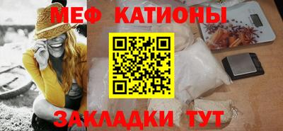 индика Можга