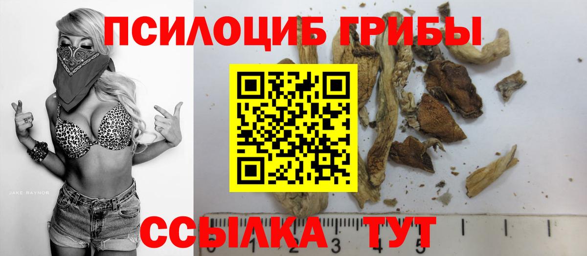 Галлюциногенные грибы Psilocybe  Вход с VPN  Узловая  Галлюциногенные грибы MAGIC MUSHROOMS 